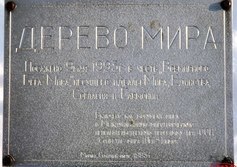 "Дерево Мира"