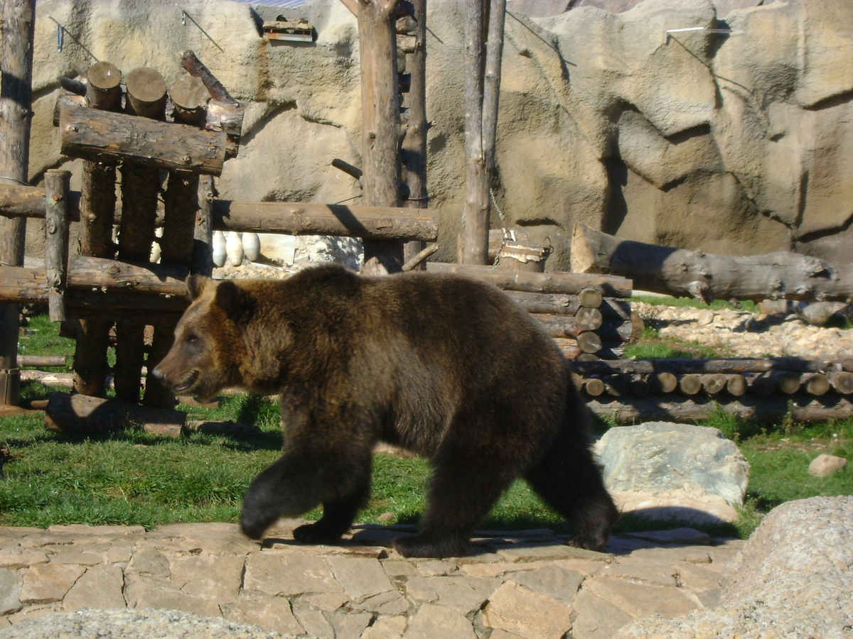 Животные в ижевском зоопарке