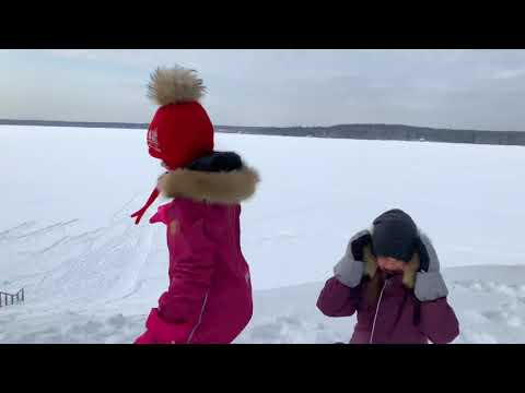 Комплекс "Лесная рапсодия" возле Зеленогорска в Ленинградской области