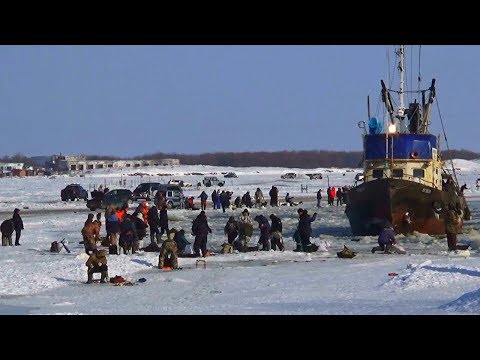 Стела в честь столетнего юбилея закладки первого русского поселения на Сахалине.