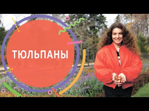 Ботанический сад МГУ «Аптекарский огород» в Москве