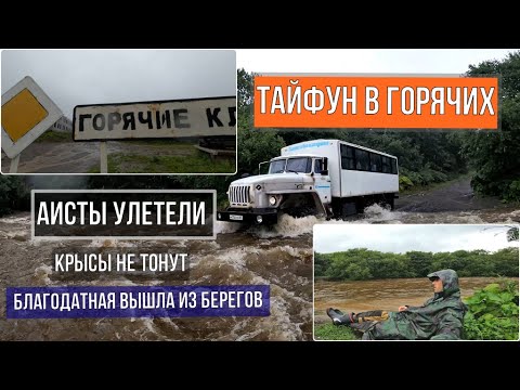 Фреатическое извержение самого уникального вулкана Кудрявый на Итурупе в 1999 году