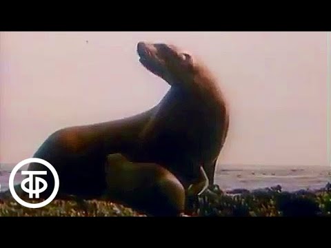 Славная и Славное на Итурупе. Гора, посёлок, озеро, речка, застава, рыбный стан